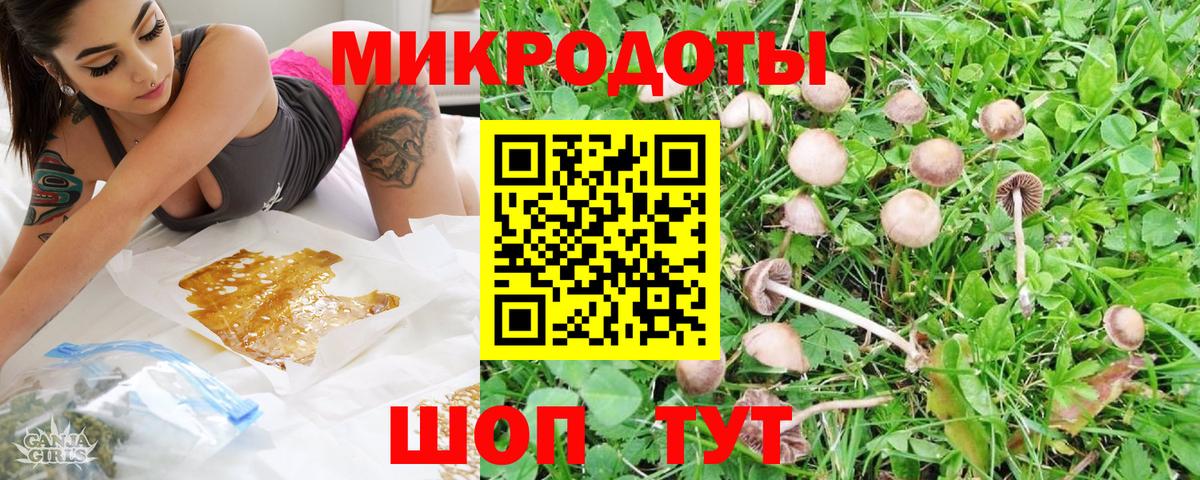 Воскресенск  Галлюциногенные грибы прущие грибы  Вход с VPN 